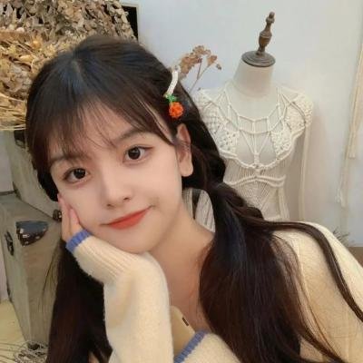 少年四大名捕粤语 在线观看